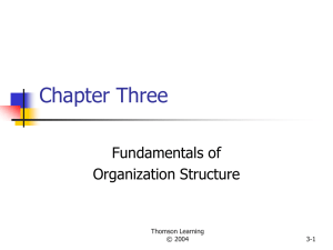 Chapter Three Fundamentals of Organization Structure Thomson Learning