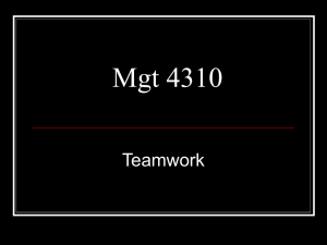 Mgt 4310 Teamwork