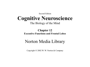 Cognitive Neuroscience Norton Media Library The Biology of the Mind Chapter 12