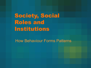 Society, Social Roles and Institutions How Behaviour Forms Patterns