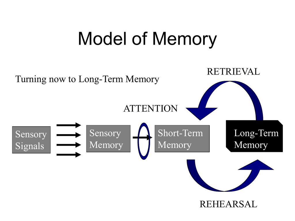 What Is Memory And How Does It Work