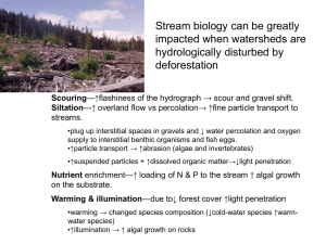 Stream biology can be greatly impacted when watersheds are hydrologically disturbed by deforestation
