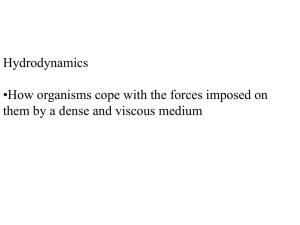 Hydrodynamics •How organisms cope with the forces imposed on