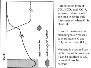 Carbon in the form of CO , HCO and  CO