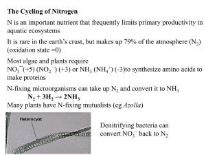The Cycling of Nitrogen aquatic ecosystems