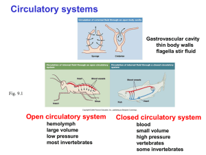 Circulatory systems Open circulatory system Closed circulatory system