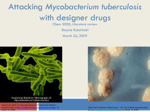 Mycobacterium tuberculosis with designer drugs Chem 3000; Literature review Shayne Rybchinski