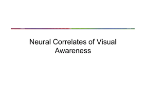 Neural Correlates of Visual Awareness