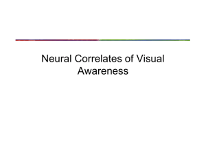 Neural Correlates of Visual Awareness