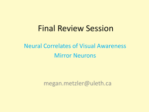 Final Review Session Neural Correlates of Visual Awareness Mirror Neurons