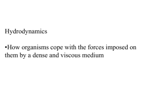 Hydrodynamics •How organisms cope with the forces imposed on