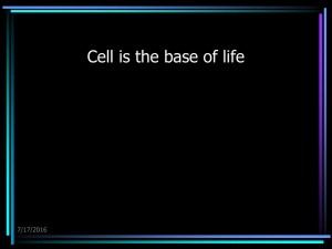 Cell is the base of life 7/17/2016