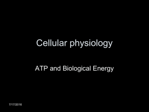 Cellular physiology ATP and Biological Energy 7/17/2016