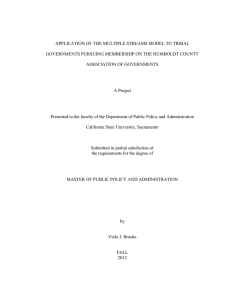 APPLICATION OF THE MULTIPLE STREAMS MODEL TO TRIBAL