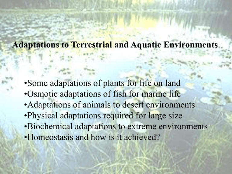 Adaptations to Terrestrial and Aquatic Environments