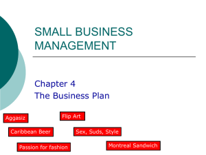 SMALL BUSINESS MANAGEMENT Chapter 4 The Business Plan