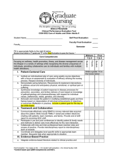 MSN-E PROGRAM Clinical Performance Evaluation Tool