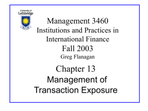 Chapter 13 Management of Transaction Exposure Management 3460
