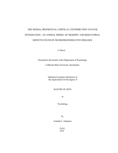 THE MEDIAL PREFRONTAL CORTICAL CONTRIBUTION TO PATH