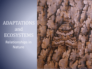 ADAPTATIONS and ECOSYSTEMS Relationships in