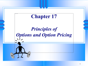Chapter 17 Principles of Options and Option Pricing 1
