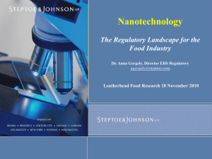 Nanotechnology The Regulatory Landscape for the Food Industry