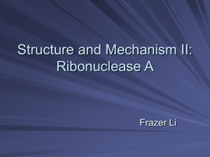 Structure and Mechanism II: Ribonuclease A Frazer Li