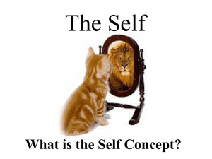 The Self What is the Self Concept?