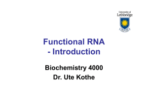 Functional RNA - Introduction Biochemistry 4000 Dr. Ute Kothe