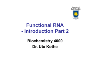 Functional RNA - Introduction Part 2 Biochemistry 4000 Dr. Ute Kothe