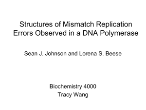 Structures of Mismatch Replication Errors Observed in a DNA Polymerase Biochemistry 4000