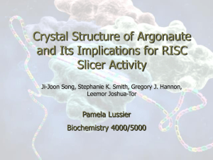Crystal Structure of Argonaute and Its Implications for RISC Slicer Activity Pamela Lussier