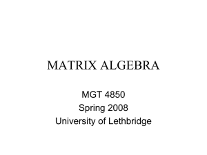 MATRIX ALGEBRA MGT 4850 Spring 2008 University of Lethbridge