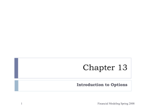 Chapter 13 Introduction to Options Financial Modeling Spring 2008 1