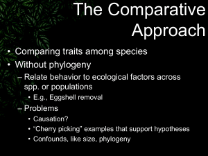 The Comparative Approach • Comparing traits among species • Without phylogeny