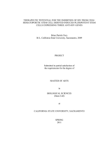 THERAPEUTIC POTENTIAL FOR THE INHIBITION OF HIV FROM CD34+