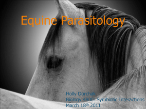 Equine Parasitology Holly Dorchak Biology 4800: Symbiotic Interactions March 18