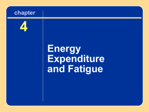 4 Energy Expenditure and Fatigue