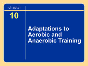 10 Adaptations to Aerobic and Anaerobic Training