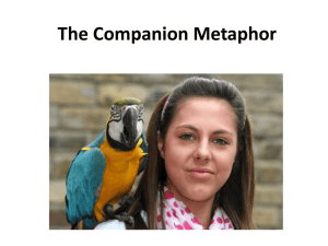 The Companion Metaphor
