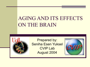 AGING AND ITS EFFECTS ON THE BRAIN Prepared by: Seniha Esen Yuksel