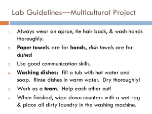Lab Guidelines—Multicultural Project