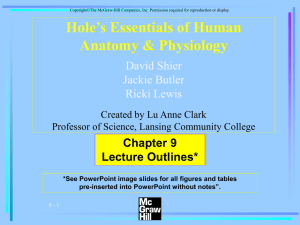 Hole’s Essentials of Human Anatomy &amp; Physiology Chapter 9 Lecture Outlines*