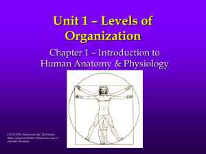 Unit 1 – Levels of Organization Chapter 1 – Introduction to