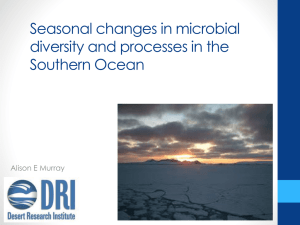 Seasonal changes in microbial diversity and processes in the Southern Ocean