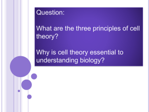 Question: What are the three principles of cell theory?