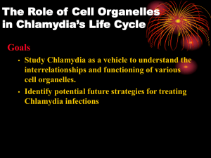 The Role of Cell Organelles in Chlamydia’s Life Cycle Goals