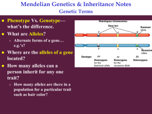 Mendelian Genetics &amp; Inheritance Notes