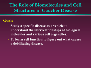 The Role of Biomolecules and Cell Structures in Gaucher Disease Goals