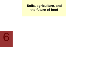 6 Soils, agriculture, and the future of food